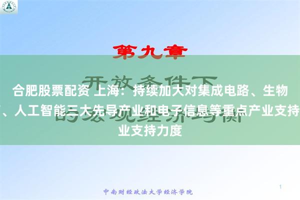 合肥股票配资 上海：持续加大对集成电路、生物医药、人工智能三大先导产业和电子信息等重点产业支持力度