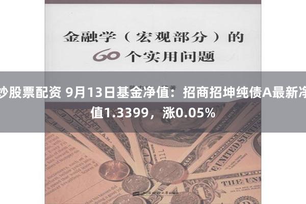 炒股票配资 9月13日基金净值：招商招坤纯债A最新净值1.3399，涨0.05%