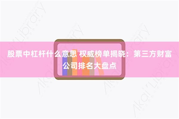 股票中杠杆什么意思 权威榜单揭晓：第三方财富公司排名大盘点