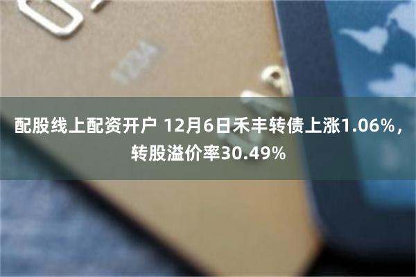 配股线上配资开户 12月6日禾丰转债上涨1.06%，转股溢价率30.49%