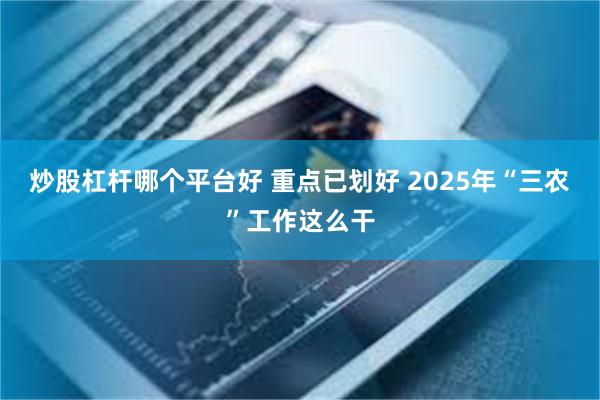 炒股杠杆哪个平台好 重点已划好 2025年“三农”工作这么干