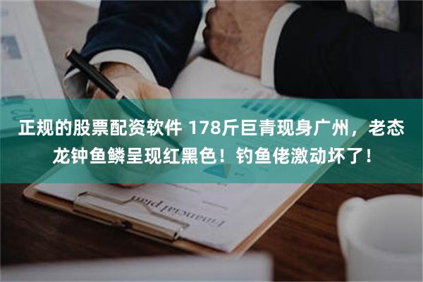 正规的股票配资软件 178斤巨青现身广州，老态龙钟鱼鳞呈现红黑色！钓鱼佬激动坏了！