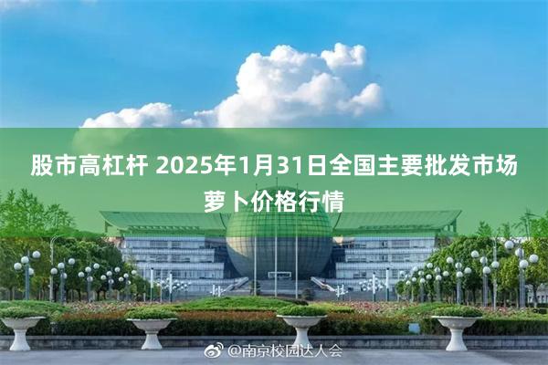 股市高杠杆 2025年1月31日全国主要批发市场萝卜价格行情