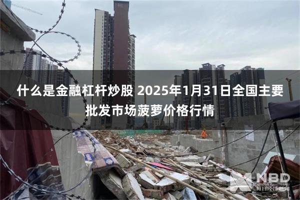 什么是金融杠杆炒股 2025年1月31日全国主要批发市场菠萝价格行情