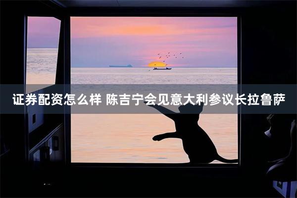 证券配资怎么样 陈吉宁会见意大利参议长拉鲁萨
