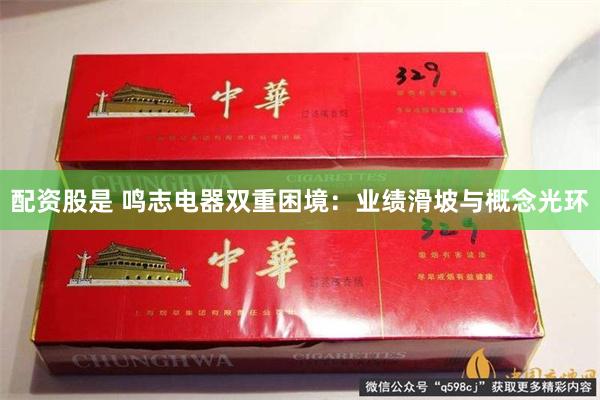 配资股是 鸣志电器双重困境：业绩滑坡与概念光环