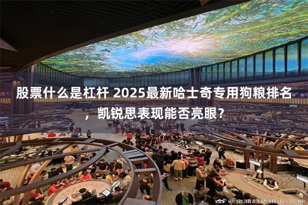 股票什么是杠杆 2025最新哈士奇专用狗粮排名，凯锐思表现能否亮眼？